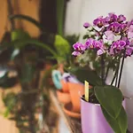 Am Sonnenhang Apartment