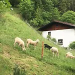 Am Sonnenhang Apartment *