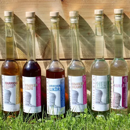 Apartamento Am Sonnenhang Obertraun