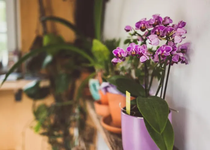 Am Sonnenhang Lejlighed