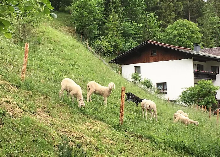 Am Sonnenhang Διαμέρισμα *