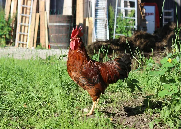 Am Sonnenhang Όμπερτραουν