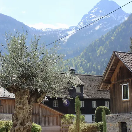 아파트 암 조넨항 *